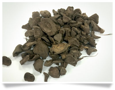 PKS (Palm Kernel Shell)